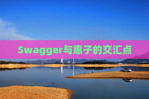 Swagger与惠子的交汇点